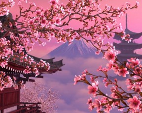 Crafts en Co Diamond Painting Canvas Japanse Sakura 40 x 50 cm