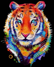 Crafts en Co Diamond Painting Canvas Tijger 30 x 40 cm