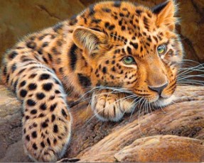 Crafts en Co Diamond Painting Canvas Luipaard 30 x 40 cm