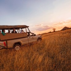 Ultimate Safari Experience