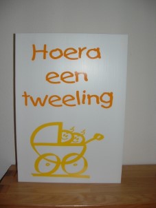 V bord raambord Hoera een tweeling diverse kleuren