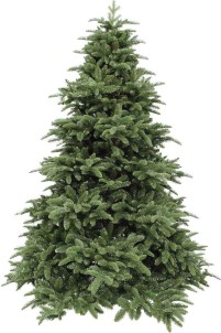 Triumph Tree Abies Nordmann Kunstkerstboom 215 cm hoog Zonder verlichting